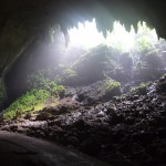 Crave – Cave : ปรารถนา จะอยู่ ถ้ำ