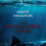 รีวิวหนัง The Shallows นรกน้ำตื้น