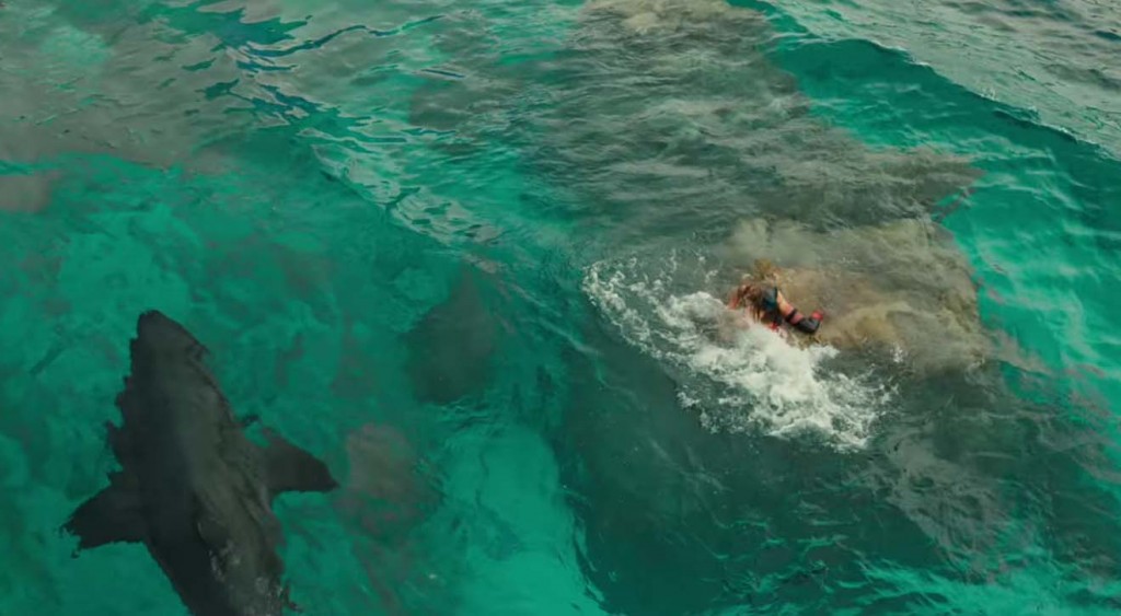 รีวิวหนัง The Shallows