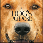 รีวิวหนัง A Dog’s Purpose  หมา เป้าหมายและเด็กชายของผม 