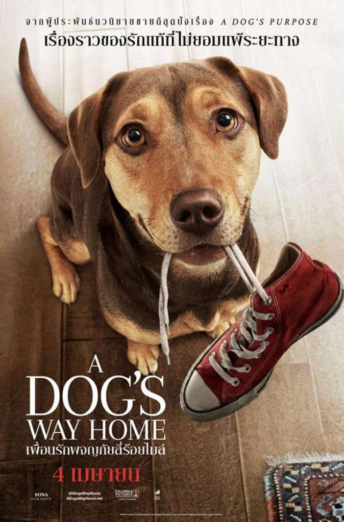 รีวิว Dog's way home